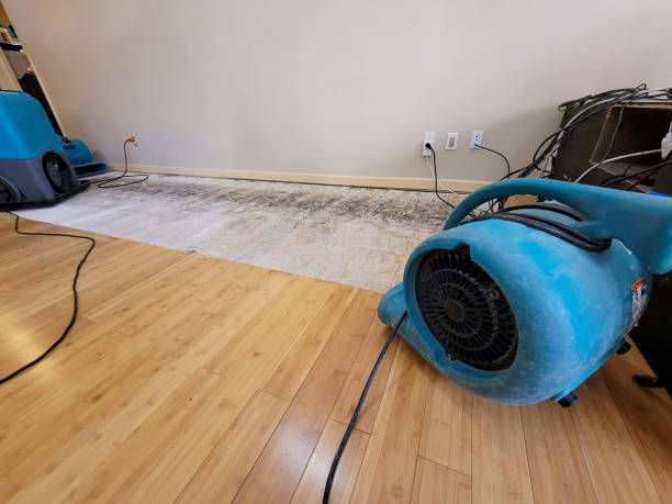 Professional Burst Pipe Water Damage technician working in Marlow, NH